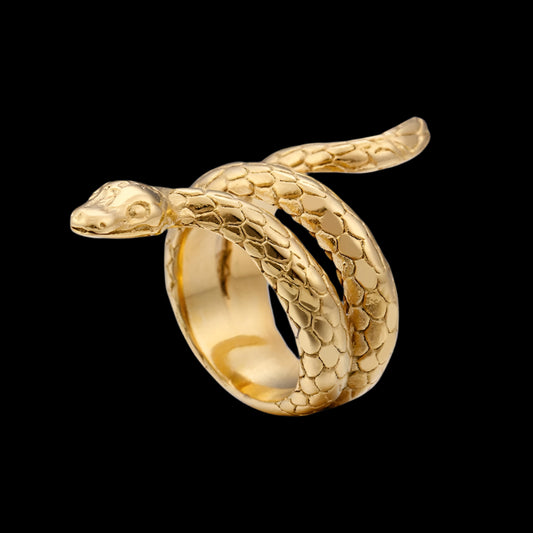 Serpent's Coils Layering Ring