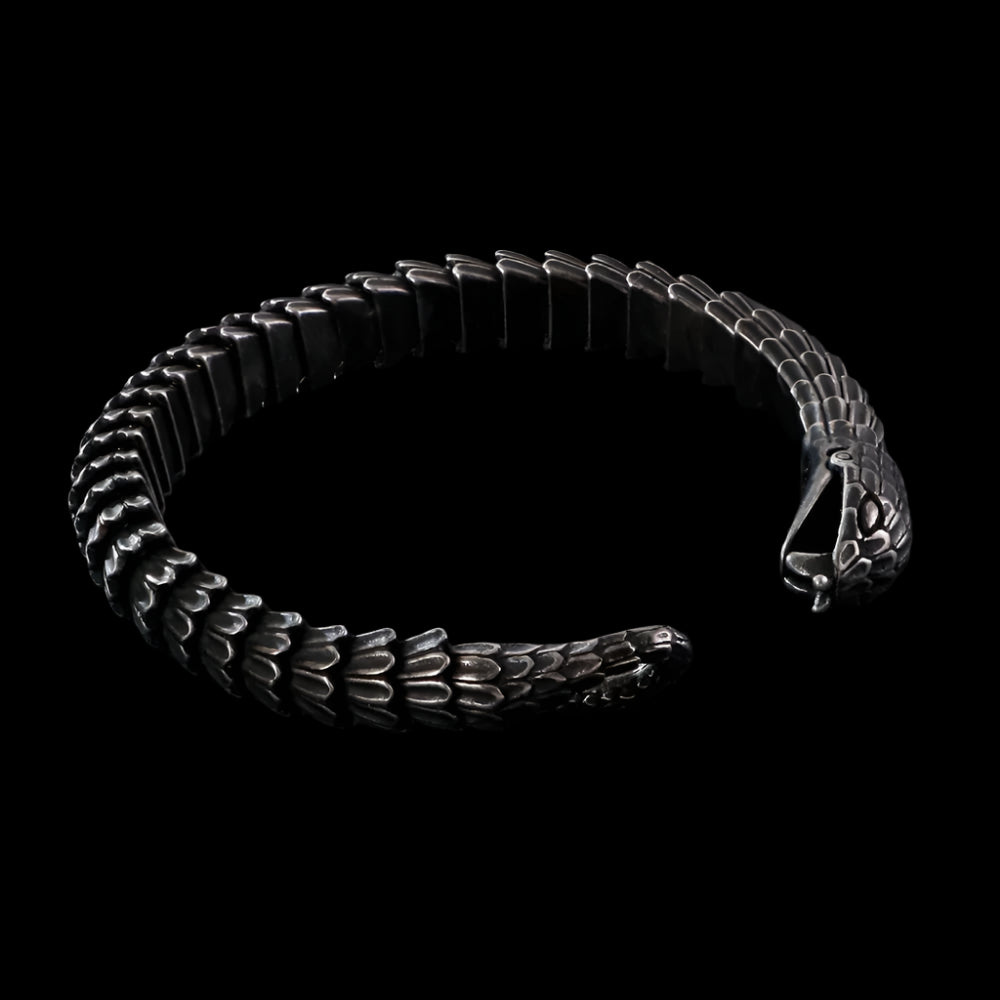 Snakebite Clasp Bracelet