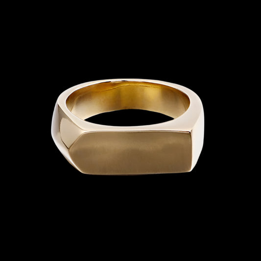 Bullet Silhouette Signet Ring