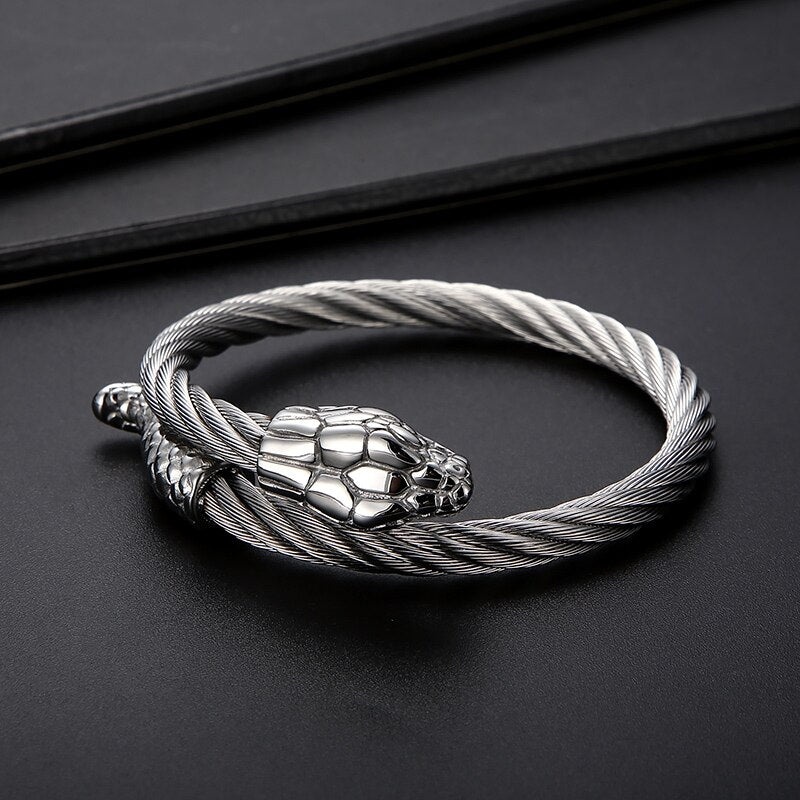 Punk Animal Snake Men's Spiral Twisted Chain Bracelets Stainless Steel Cable Bracelets For Men Gothic Bangle Jewelry