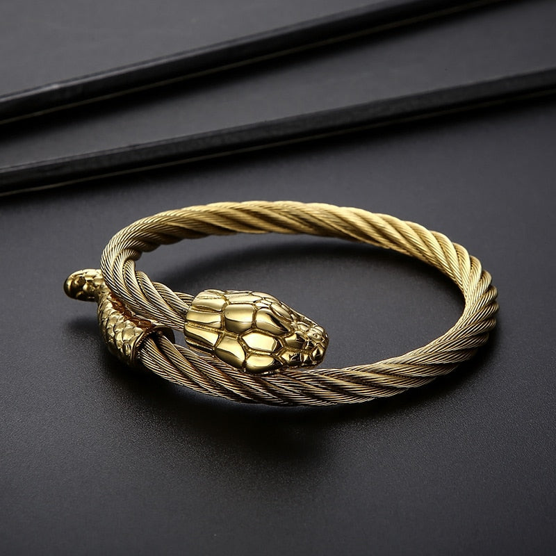 Punk Animal Snake Men's Spiral Twisted Chain Bracelets Stainless Steel Cable Bracelets For Men Gothic Bangle Jewelry